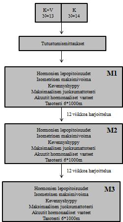 32 6.2 Koeasetelma Koehenkilöt jaettiin ryhmiin, joissa toinen ryhmä (K) teki pelkkää kestävyysharjoittelua ja toinen (K+V) ryhmä teki saman kestävyysharjoituksen lisäksi kaksi viikoittaista