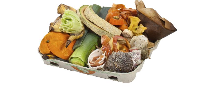 Biojätteen lajittelu keittiössä Kompostijäteastia voi olla noin viiden tai kymmenen litran kokoinen perheen koon ja ruokailutottumusten mukaan.