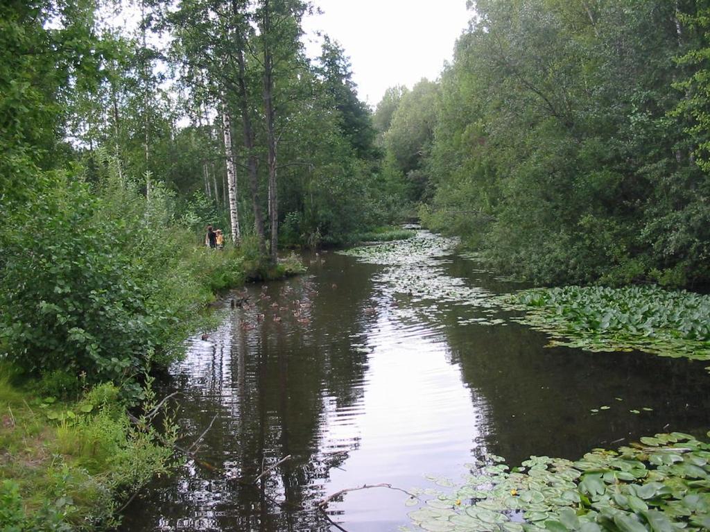 Tutkimusretken alkupää.