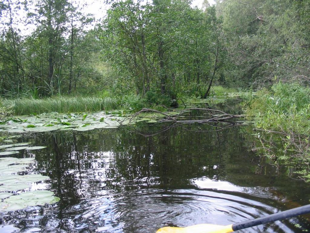 Kuvassa näkyy ensimmäinen este ja veden kirkkaus Tämän