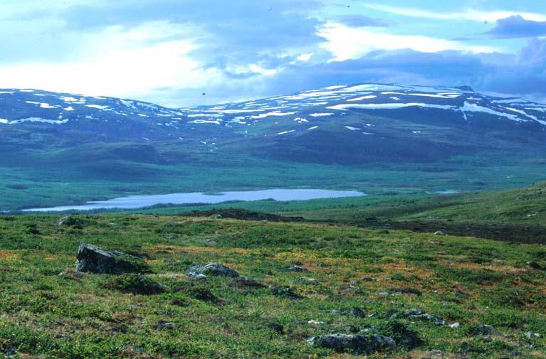 Kilpisjärven biologinen asema Kilpisjärvi Biological Station KILPISJÄRVI NOTES 18 Helsingin yliopisto University of Helsinki