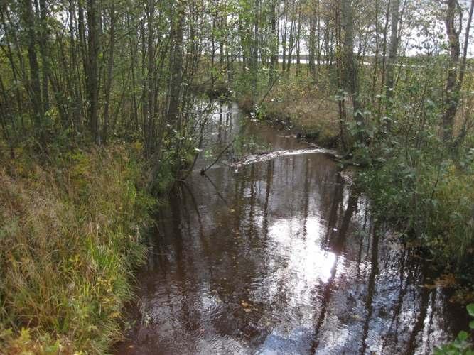 Mustaoja Mustaoja laskee Köyliönjärveen järven pohjoiskärjestä ja se kokoaa vetensä järven valuma-alueen pohjoisja koillisosista. Se on järveen laskevista osavaluma-alueista toiseksi suurin.