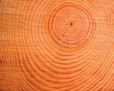 Hyvän elämän eristeratkaisut 5 Lämmöneristeeksi tehty puukuitu on kuohkeaa ja sisältää paljon eristävää ilmaa kuiduissa itsessään sekä kuitujen väleissä, Ekovillan pörröiseksi hierretty kuitu pitää