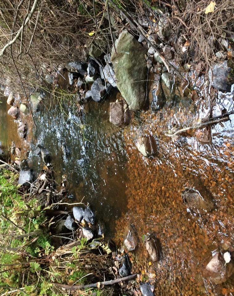 Karjaanjoen vesistöön on jo saatu aikaiseksi hyvin tuottavia taimenpuroja Valokuvan etualalla ja yläreunassa purossa vaaleat alueet -> Virtavesien hoitoyhdistyksen EU- Leader-hankkeen kesällä 2016