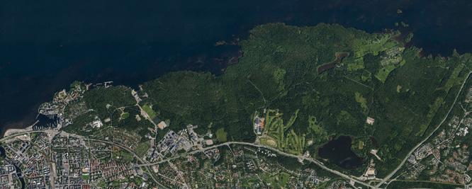 VI Kauppi Niihama ympäristöineen Osa-alueen liittyminen Tampereen tarinaan Kauppi Niihaman laaja ulkoilualue toimii kantakaupungin ainoana luonnon ydinalueena ja yhtenäisenä metsäalueena, jolla on