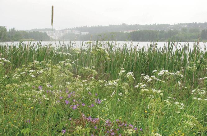 tärkeitä luonnonalueita, Suomen ja kaupungin oman historian kannalta merkittäviä kulttuuriympäristöjä rakennuksineen ja puistoarkkitehtonisesti tai esteettisesti huomattavia viheralueita.