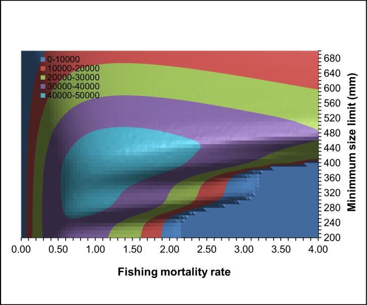 Minimum size limit -based management,