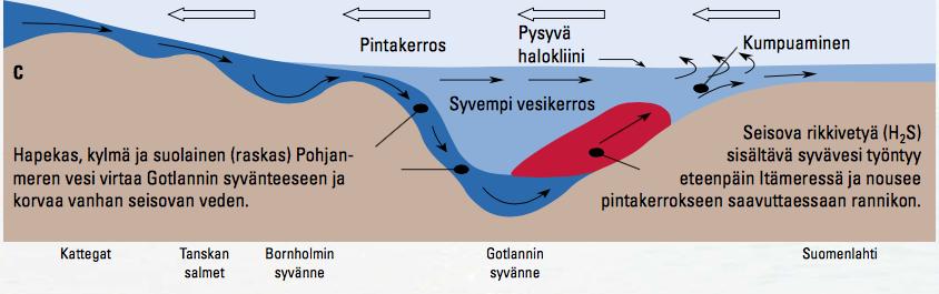 Stagnaatiotilassa hypoksia kasvaa, ja tarpeeksi pitkän ajan jälkeen merenpohjan happi on kulutettu kokonaan loppuun. Tällöin voidaan puhua anoksiasta, eli täysin hapettomasta tilasta.