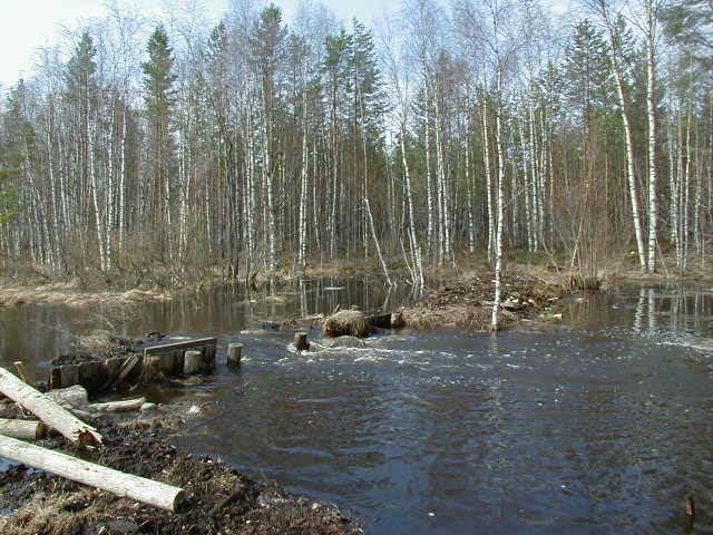 20 Kuva 3. Ojajärven pohjapato keväällä 2003 Marraskuussa v. 1993 valmistui Tampereen vesi- ja ympäristöpiirissä (nykyinen Pirkanmaan ympäristökeskus) Suomijärven kunnostussuunnitelma.