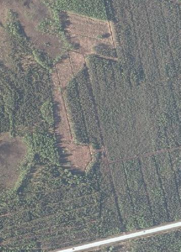 puunkorjuu merkitsee puustolle ja metsämaan ravinteisuudelle.