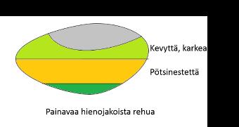 23 (56) Jos happamoituminen tapahtuu nopeasti se vaurioittaa pötsin seinämää.