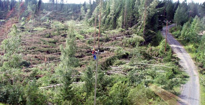 kausiluontoisuus Sähkömarkkinalaki