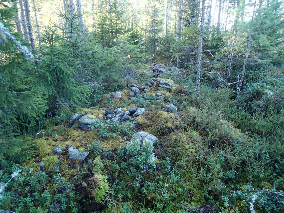 voisi alustavasti pitää mahdollisena muinaisjäännöksenä, kunnes tarkemmin tiedoin ja tutkimuksin tai useamman arkeologin mielipiteiden perusteella