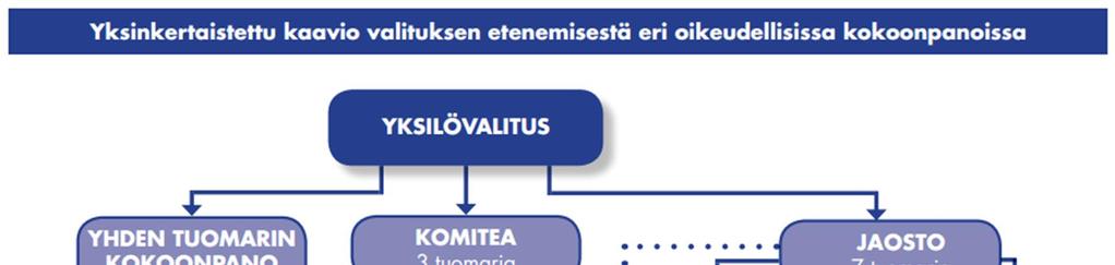 13 Kuvio 1. Yksilövalituksen eteneminen EIT:ssa [24]. 4.