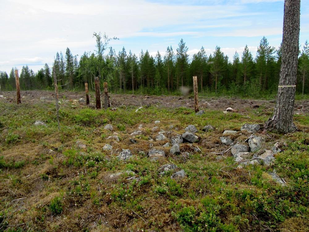 18 2. Pirttikangas 2 Mj-rekisteri: Laji: Tyyppi: Tyypin tarkenne: Ajoitus yleinen: Lukumäärä: Rauhoitusluokkaehdotus: Paikkatiedot: Karttanumerot: TM35-lehtijako vanha yleislehtijako Koordinaatit: