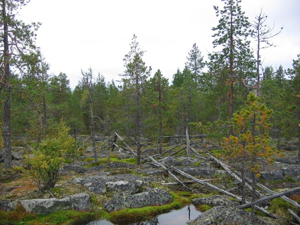 Maanmittauslaitoksen peruskarttarasteri 10/015 Kuva