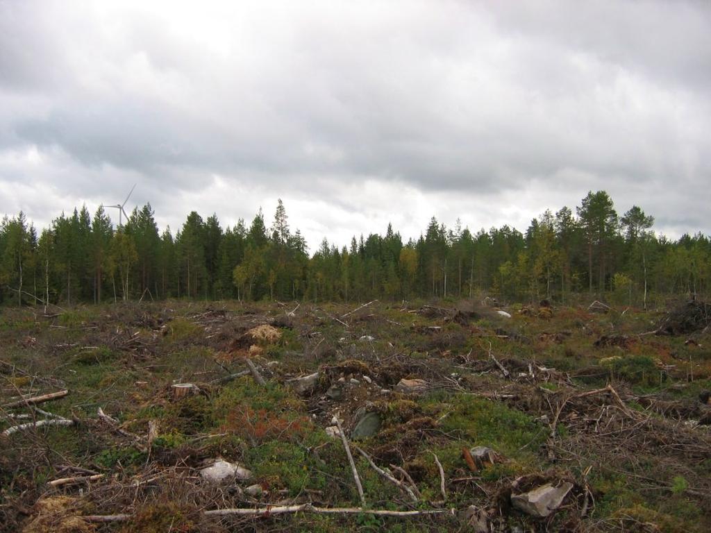 itäpuolella. Kuvattu etelään. Kuva 7.