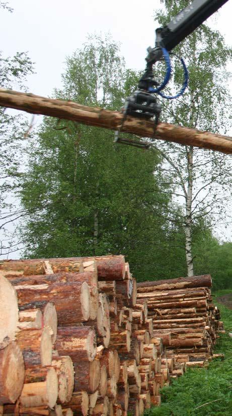 Puun tuonti Stora Enso Metsä toimittaa sekä havu- että lehtipuuraaka-aineen kotimaasta ja Venäjältä. Toimitukset tapahtuvat rekoilla ja Venäjältä junalla.