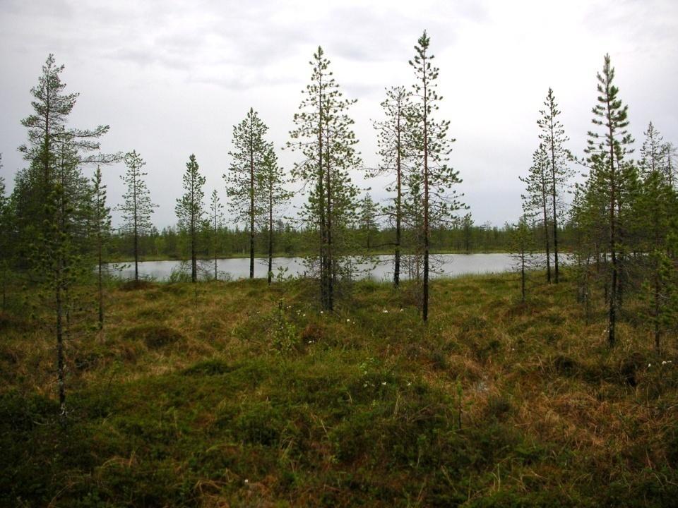 Kuvaussuunta lounaaseen.