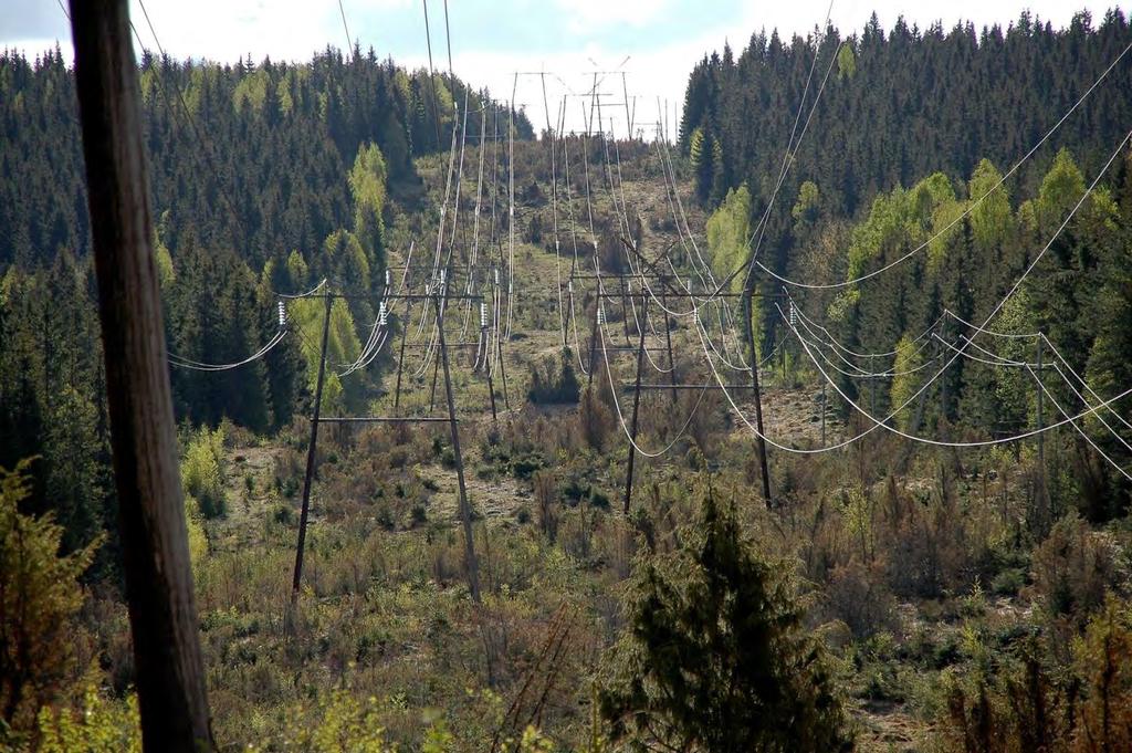 20 400 + 110 kv voimajohto Hikiä Orimattila Voimajohdon kunnossapitäminen sähköturvallisuusmääräysten mukaisena edellyttää johtorakenteen ja johtoalueen säännöllisiä tarkastuksia ja kunnossapitotöitä.