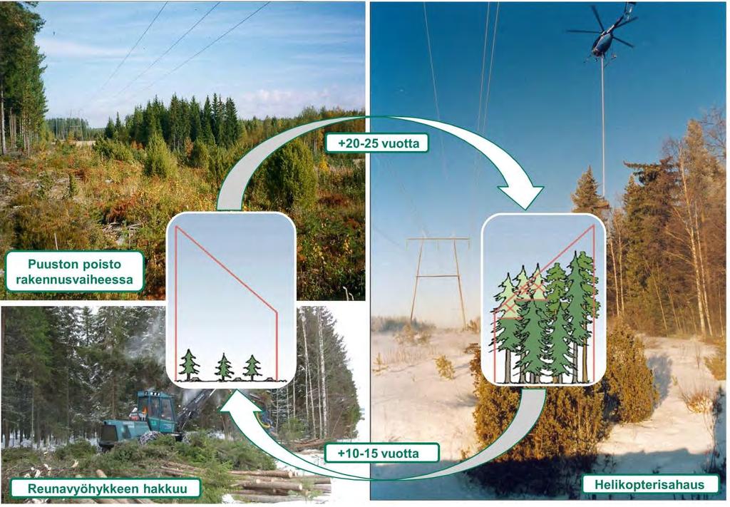 400 + 110 kv voimajohto Hikiä Orimattila 21 Kuva 13. Reunavyöhykkeen puuston käsittelyn periaatteet. Kantaverkon voimajohdon tekninen käyttöikä on jopa 60-80 vuotta.