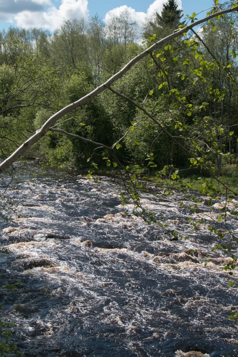 1 Tarkastuslautakunnan ARVIOINTIKERTOMUS VUODELTA 2016 Mikä on hyvä tavoite?