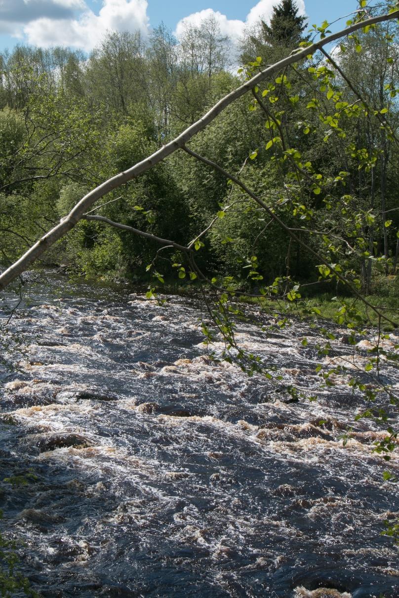 1 Tarkastuslautakunnan ARVIOINTIKERTOMUS VUODELTA 2016 Mikä on hyvä tavoite?