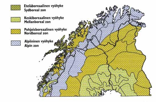 Tunturialueet kuuluvat alpiiniseen kasvillisuusvyöhykkeeseen. Metsänrajan yläpuolella vallitsee matala tunturikasvillisuus.