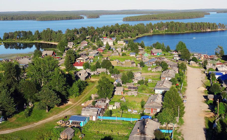 Jäsentiedote 2/2017
