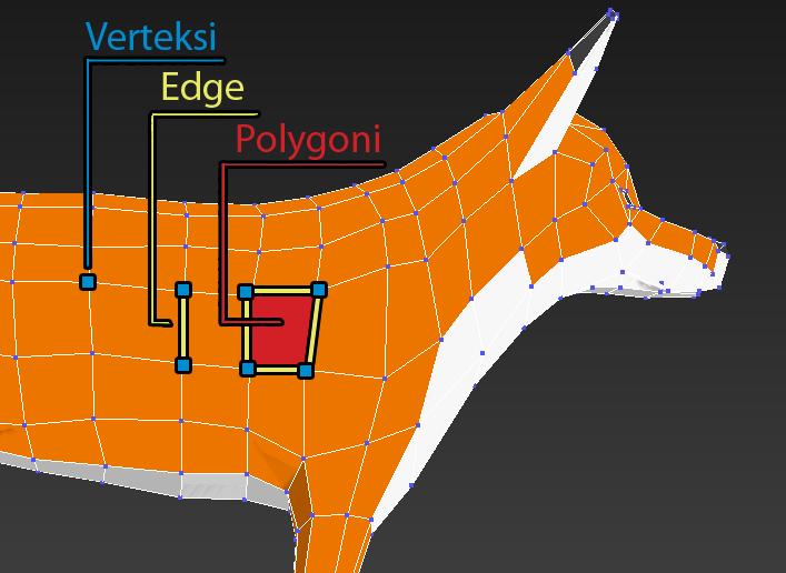 14 Kuva 7. Esimerkit verteksistä, edgestä ja polygonista (Korhonen 2016) Curve-mallintamisessa mallin muodon määrittää käyrä, jota muokataan käyrässä olevilla painopisteillä.