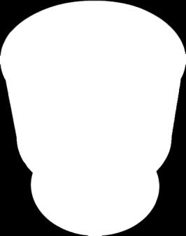 Zoetrooppi. (Zoetrope 2016) Tämän jälkeen markkinoille ilmestyi pläri, eli taskuelokuva. Pläri toimi selaamalla tai pläräämällä sen sivuja nopeassa tahdissa.