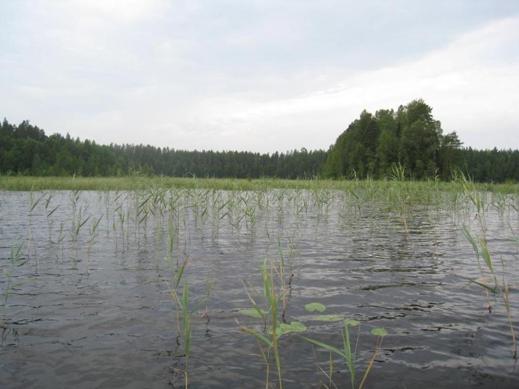 näkösyvyyden vaihtelu eri mittauspaikoissa, muilla tutkimusjärvillä näkösyvyysmittauksen tulokset eivät vaihdelleet mittauspaikkakohtaisesti. Maastokäynti järvellä suoritettiin kuivan kauden aikaan.