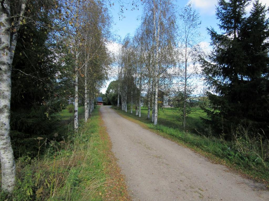 29 Kuva 15. Tie Myllylään, talo ja tilarakennukset taustalla, kuva pohjoiseen. 8.