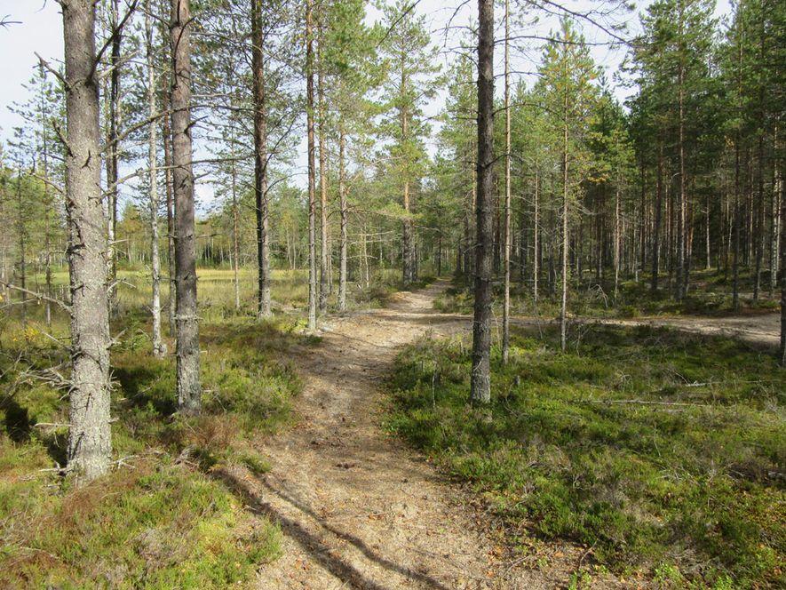 6 Inventoidut alueet vihreänä, valokuvauspaikat 1-19