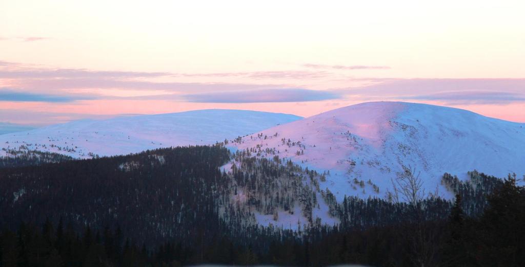 Ylläpito + Rahoitus Lainsäädäntö Väylästö