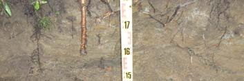 Koekuopan 3 kaivaminen lopetettiin korkeudelle 2,49 m mpy eli kaikkiaan kuoppaa kaivettiin n.
