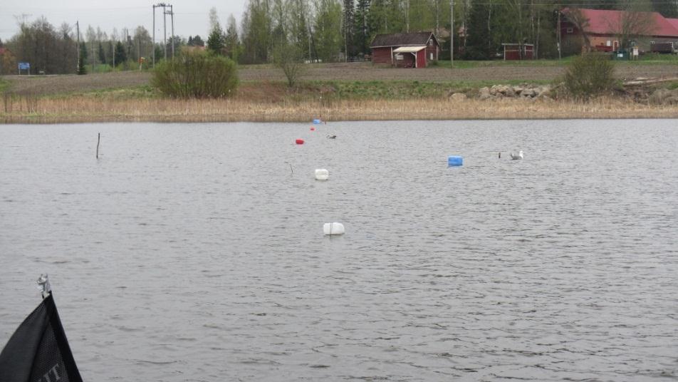 Rysien laskun aikana molempien jokien suualueella veden lämpötila oli koekalastuksen alussa 6, C (Taulukko 6.1). Kuukauden kestäneen koekalastuksen jälkeen (25.