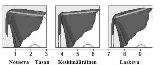 Lantion leveys (Lineaarinen rakennearvostelu 2015, 3) Lantionkulma arvostellaan lehmän sivulta arvioimalla lonkkakyhmyjen ja istuinluiden yläosien sijoittumista toisiinsa nähden