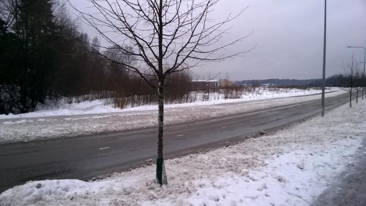 Muistio 14.2.2017 Kuva 3c. Tarhurintie ja ulkoilureitin alku Vauhdit nousevat usein koviksi, pieni mäki ennen Metsätähdentien risteystä.