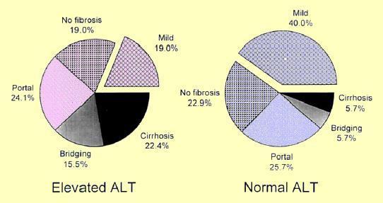 HCV Fibroosi Normaali ALAT ei ole suojaava tekijä Shiffman et al.