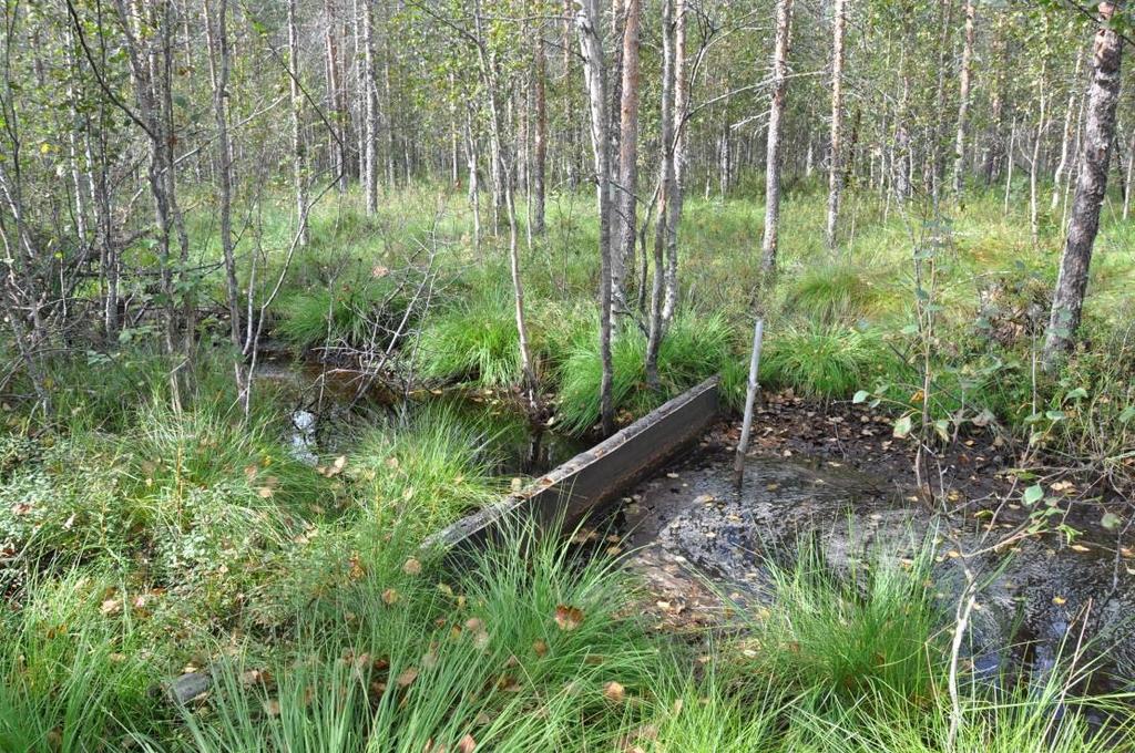 Pintavalutus Ojitettu pintavalutuskenttä Toiminta epävarmempaa Suuri mahdollisuus pintavalunnalle Vesi voi kulkea entisiä uomia myöten Turve usein maatuneempaa Pidättää kiintoainetta ja epäorgaanista