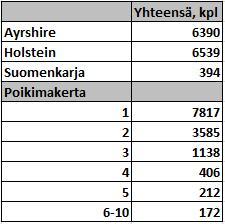 6 TULOKSET JA TULOSTEN TARKASTELU Aineiston lehmämäärää eri rotujen ja poikimakertojen kesken tutkittaessa havaittiin, että ayrshireja holsteinrotuisia lehmiä oli aineistossa eniten ja lähes yhtä