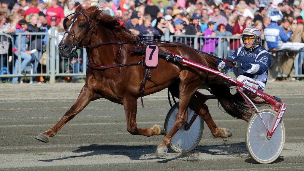 TOTO Lähtölistat ja vihjeet.. JYVÄSKYLÄ TERHI PIISPA-HELISTEN / SUKUPOSTI.NET I.P. Lento pystyy voittoon lauantaina. Kainuun korpisoturi ideavetona I.P. Lennolla mahdollisuus kauden kolmanteen täysosumaan.