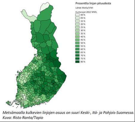 Loiste Sähköverkko Oy - haasteellinen maantieteellinen sijainti Metsässä kulkevien sähkölinjojen suuri osuus (ks.