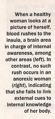 Primaarialue aivoissa : INSULAN takaosat > keho minämuodossa Sekundaarinen tai multimodaalinen alue aivoissa: INSULAN etuosat Sydämen sykkeen