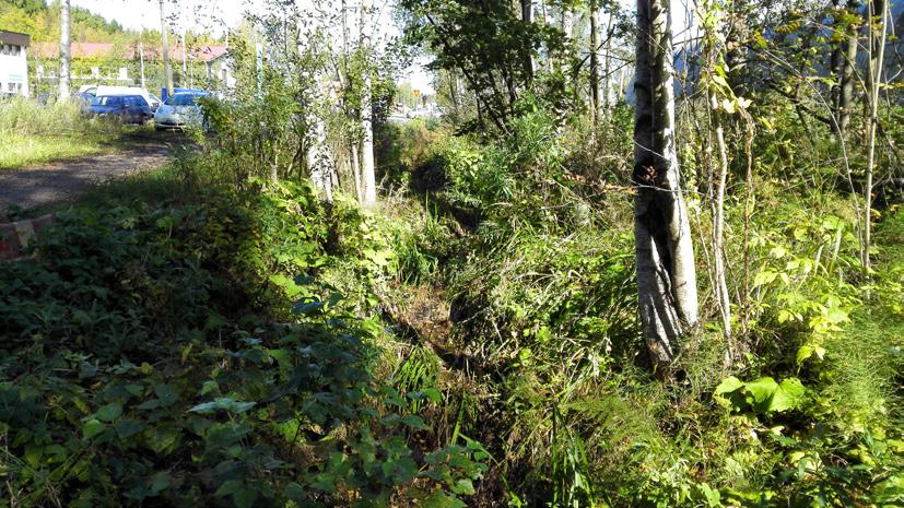 Kuva. Jarrutienojaan laskeva, pohjoisesta virtaava, sivuoja tuo kirkasta vettä Tattarisuon eteläosista.