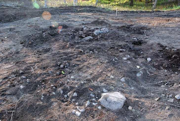 Kuoritun alueen eteläosa sijaitsee korkeudella 1,2 m mpy. Eteläosassa heti pintamaan alta paljastui puhdas pohjasavi, jonka pinta oli noin 0,9 m mpy korkeudella.