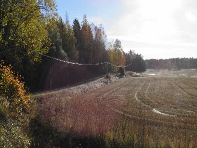 Esimerkiksi Kiveläntien risteyksen jälkeen Tähteläntien kiintopisteen muodostaa upea, suojeltu tammi.