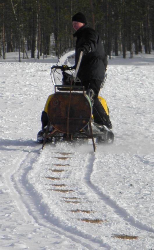 Pitkistä ruokintakaukaloista porot pääsevät