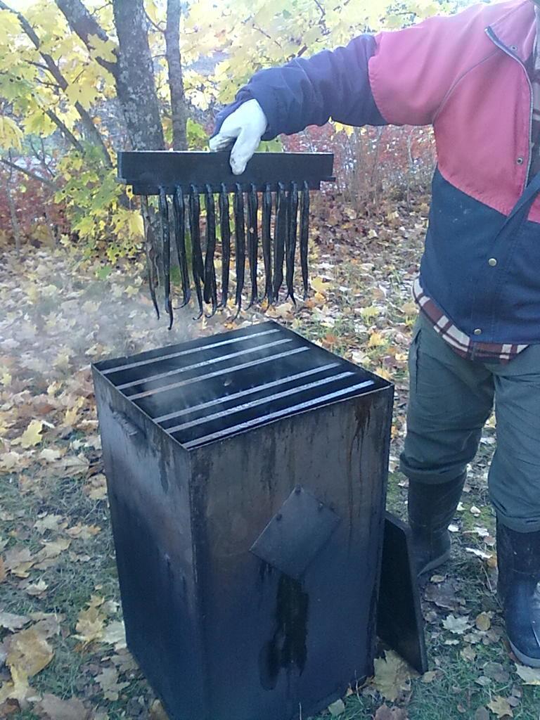 toki joissa elää myös muitakin arvokaloja,
